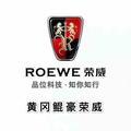 鲲豪汽车ROEWE头像