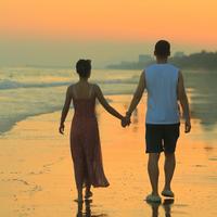 小王乐的虎8l头像