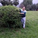 知足常乐头像
