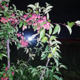 春天里7o2H头像
