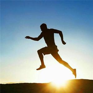 雁鸟候风来头像