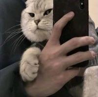 在下请求针对呀头像