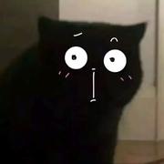 抱着小熊入冬的个人资料头像