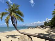 A_tree的个人资料头像