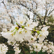 hahaha__的个人资料头像