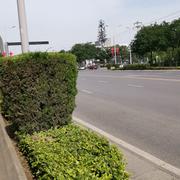 fengerous106的个人资料头像