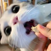 要强男人背后的要强女人的个人资料头像