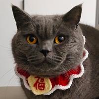 月月半半胖头像