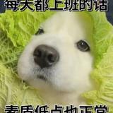 非凡微风gQq头像