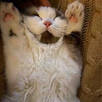 用户7154263649015头像