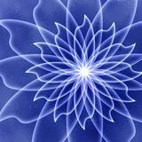 江城林先生头像