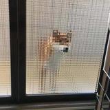 zhcxg头像