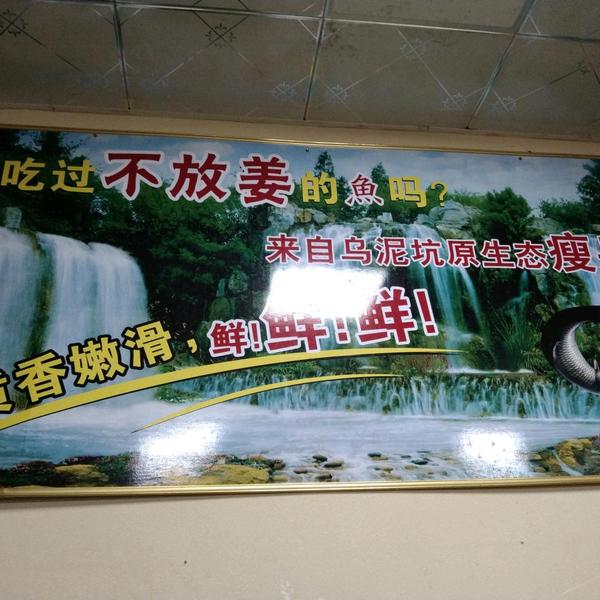 吴金斯头像