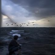 光头宇的个人资料头像