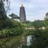 会飞的鱼wang23头像