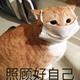 用户3886697813725头像