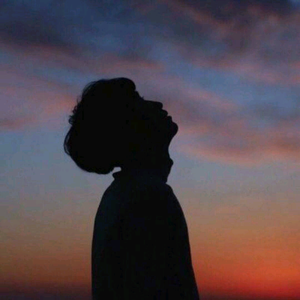 伟业车生活头像