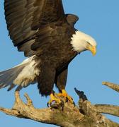 魔幻男灵的个人资料头像