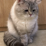 IO_OI的个人资料头像