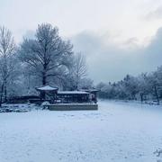 Byte955的个人资料头像