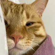 西瓜3795的个人资料头像