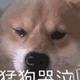 太差111头像