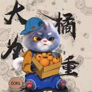 大橘为重视频号头像