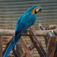 啦啦啦光棍头像