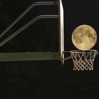 大华酷查子头像