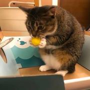 Owen188的个人资料头像