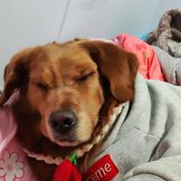 取不到名字了忧愁头像