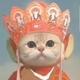 拥护眉眼头像