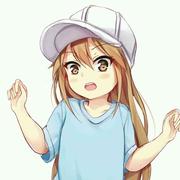 不赛艇的个人资料头像