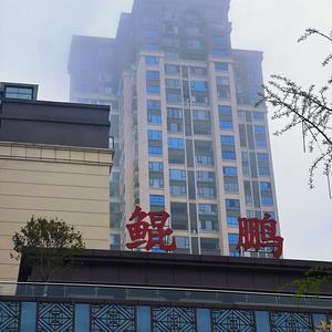 鲲鹏御府袁圆～头像