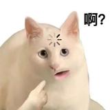 霏霏非车头像