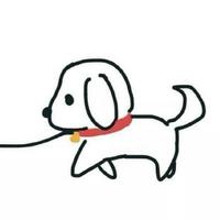 贝尼玛列斯0李0贝金头像