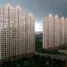 宏D日记的个人资料头像