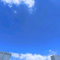 随性自由的宇宙nq头像