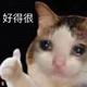 鱼丸丶粗面zzZ · 蒙迪欧车主·车龄1年头像