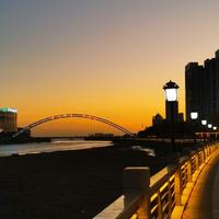 真诚星星lQ头像