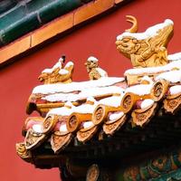 锂矿降价了哦头像