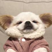 Brian662的个人资料头像