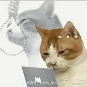 Frankey的个人资料头像