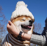 Bizzle的个人资料头像