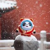 挠妙的daddy头像