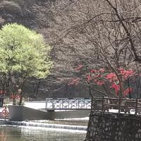 阳山南水北头像