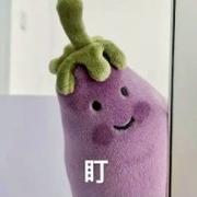 皮卡丘骑着皮皮虾穿着皮鞋踩西瓜的个人资料头像