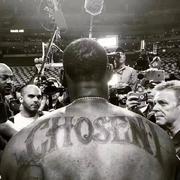 知识剽窃师的个人资料头像