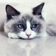 手机号已注销的个人资料头像