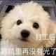 准备看车头像